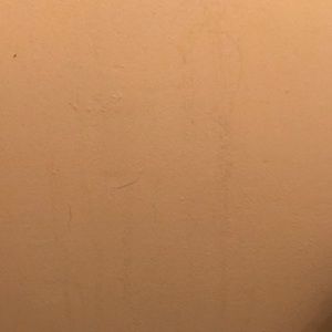 Meet your Posher, Charles